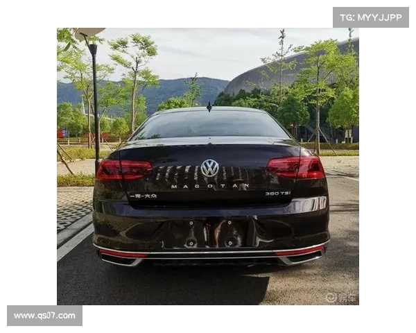 全新迈腾380旗舰新车作业